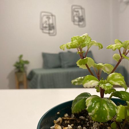 Tierra Alojamientos 살타 외부 사진
